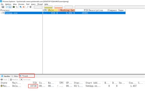 API CreateProcess 的图像结果