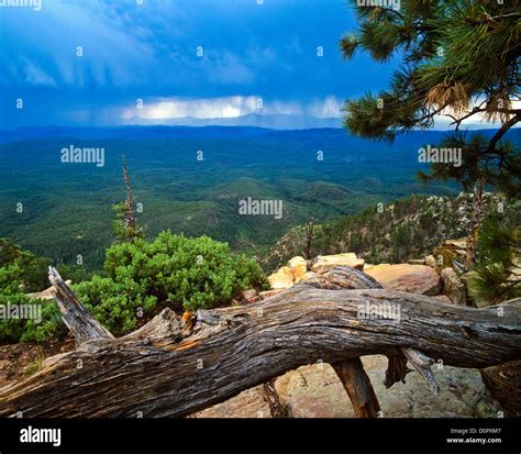 Mogollon Rim summer, North of Payson, Arizona. Coconino National Forest ...