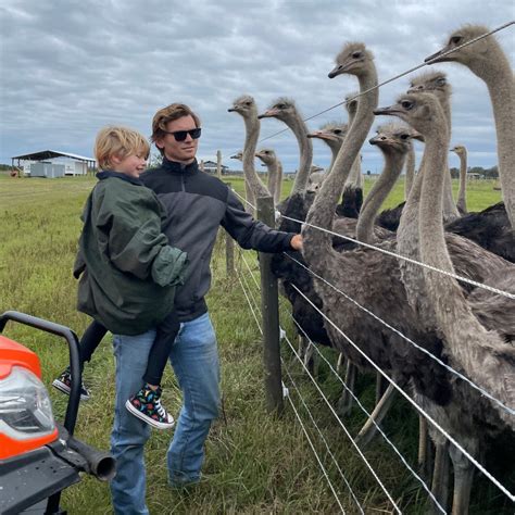 How To Care For An Emu: A Daily Guide For Ostrich Farmers