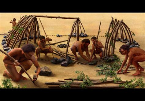 How Homo Erectus Behaved In Groups: Early Human Social Structures