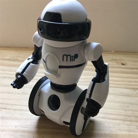 MIP Robot 的图像结果