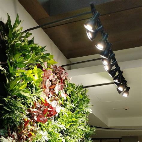 Lighting Guide for Living Walls – Plants On Walls Large Vertical Garden ...