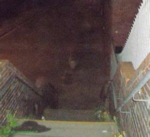 Local Man Las T Be Haunted 的图像结果