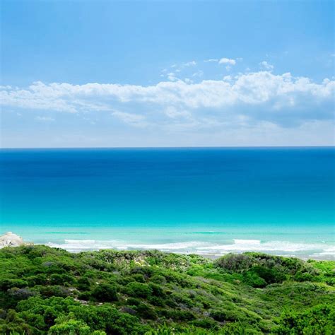 Spring Beach Vacation 的图像结果