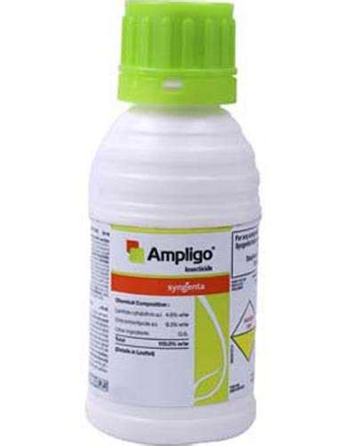 Syngenta Old GJ - Syngenta Ampligo (Chlorantraniliprole 10% + Lambda ...