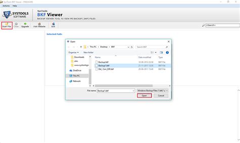 Open BKF File 的图像结果