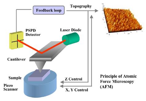 Image result for AFM Explained Microscope