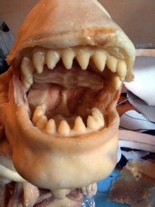 Image result for Alien Chestburster Puppet