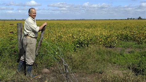 Genetically Modified Organisms: To Eat Or Not To Eat? : 13.7: Cosmos ...
