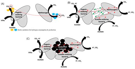 Role and Potential of Direct Interspecies Electron Transfer in ...