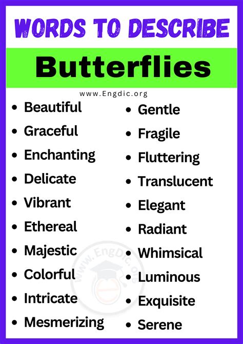 20+ Best Words to Describe Butterflies, Adjectives for Butterflies - EngDic