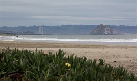 Toro Creek Beach (Morro Bay Dog Beach) in Cayucos, CA - California Beaches