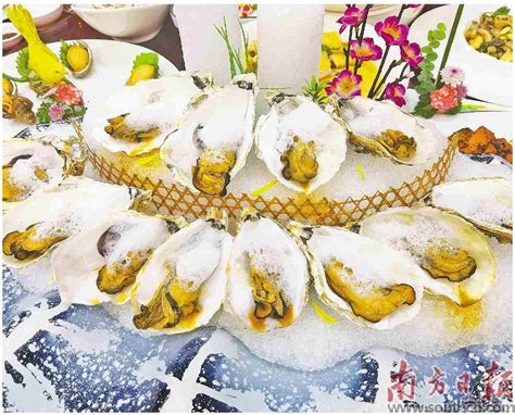 湛江海产品闻名遐迩 被誉为“海鲜之都”凤凰网广东_凤凰网