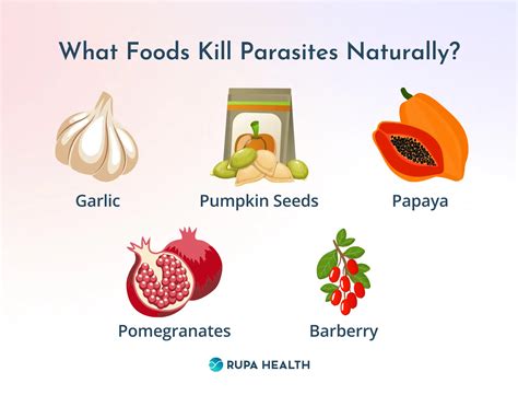 5 Scientifically Proven Foods that May Kill Parasites in Humans