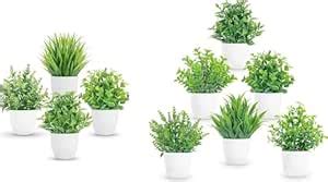 Buy Dekorly Artificial Plants Small Fake Potted Plants,Mini Eucalyptus ...