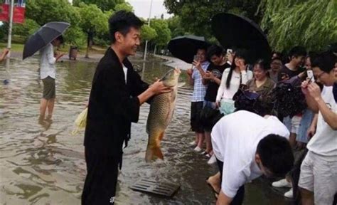 【图集】南方多地遭遇强降雨 南京市民街上摸鱼虾、“趟河”出行|界面新闻 · 图片