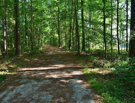 AL BUEHLER HIKING TRAILS (2026) All You Need to Know BEFORE You Go ...