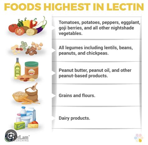 Pin by Sharon Proctor on Lectin free foods | Lectins, Lectin free diet, Intolerance