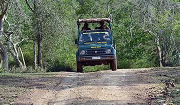 Bandipur Tiger Reserve | Bandipur Tour Packages | Asianadventures