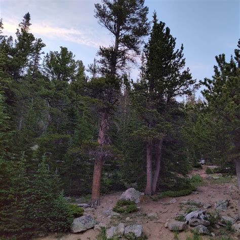 Rainbow Lakes Campground | Nederland, CO