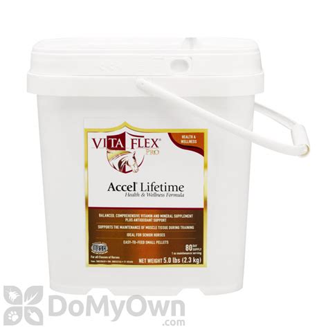 Vita Flex Accel Lifetime Health and Wellness Formula