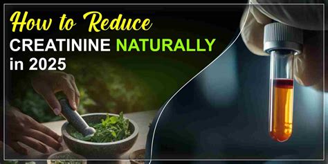 Creatinine Level for Dialysis: When to Start Treatment