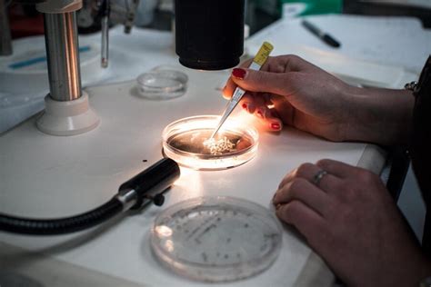 Do you want to live forever? | Dazed