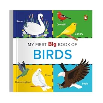 My First Big Book of Birds: Colorful Illustrated Board Book to Learn ...