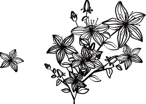 Free Flower Black And White Png, Download Free Flower Black And White ...