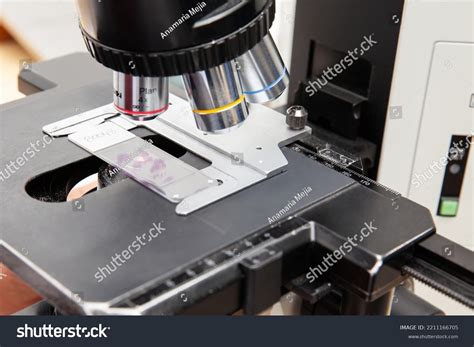 Microscope Slide 的图像结果