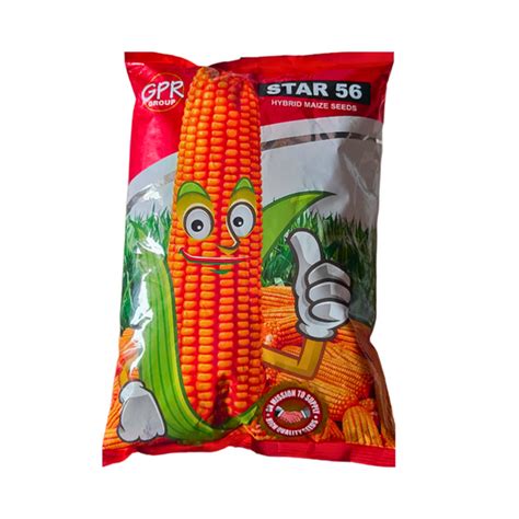 Star Agrotech Maize Seeds | Buy Online at Best Price – Desikheti