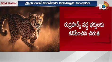 Srisailam Cheetah : శ్రీశైలంలో మరోసారి చిరుత సంచారం.. తీవ్ర భయాందోళనలో ...