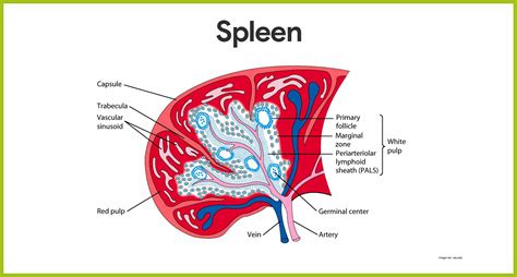Image result for Difference Between a Consistent System and Inconsistent System