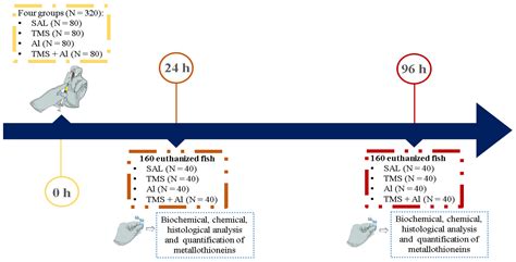 Toxicological Effects of Thimerosal and Aluminum in the Liver, Kidney ...