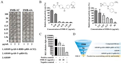 Establishment of a Yeast Two-Hybrid-Based High-Throughput Screening ...