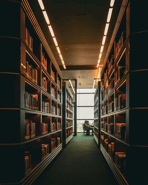 Study 的图像结果