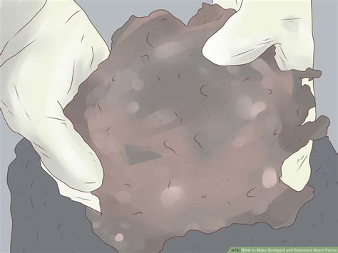 Basement Worm Farm 的图像结果