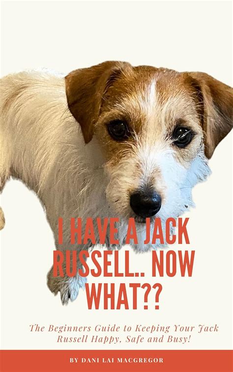 I HAVE A JACK RUSSELL.. NOW WHAT?: The Beginners Guide to Keeping Your ...