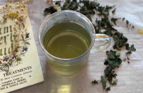 How to Make Nettle Tea - Recipe + Health Benefits of Nettles - A ...