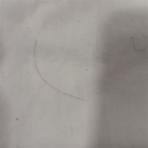 SIEGEL SELECT - CONVENTION CENTER - Prices & Motel Reviews (Las Vegas, NV)