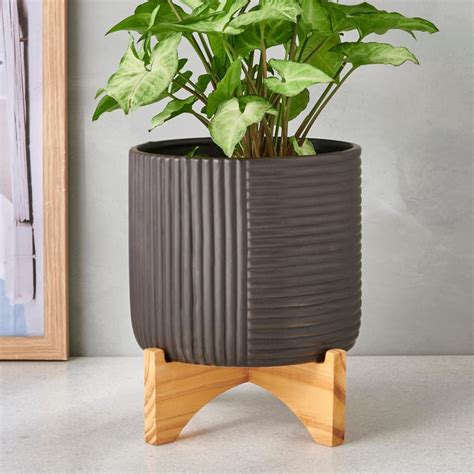 Buy Gloria Ceramic Planter with Wooden Stand from Home Centre at just ...