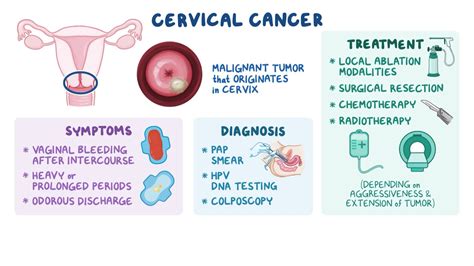 Cervical Cancer Causes And Risk Factors