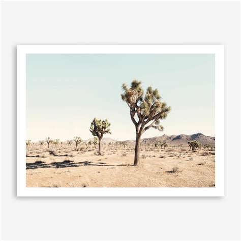 art queen joshua tree