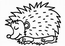 igel ausmalbild pdf igel malvorlagen coloring pages print coloring igel ausmalbild pdf igel malvorlagen coloring pages print coloring