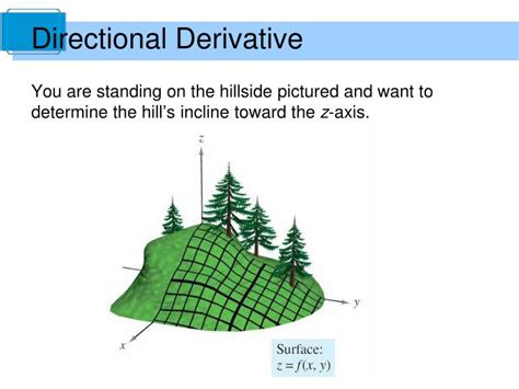 Image result for Directional derivative Examples