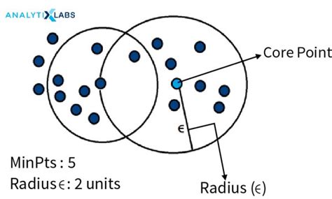 Different Types of Machine Learning Algorithms