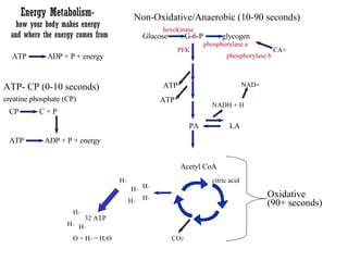 Human Energy System Chart 的图像结果