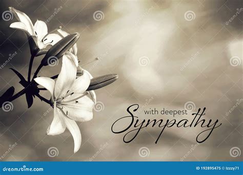 Condolences Flowers Card