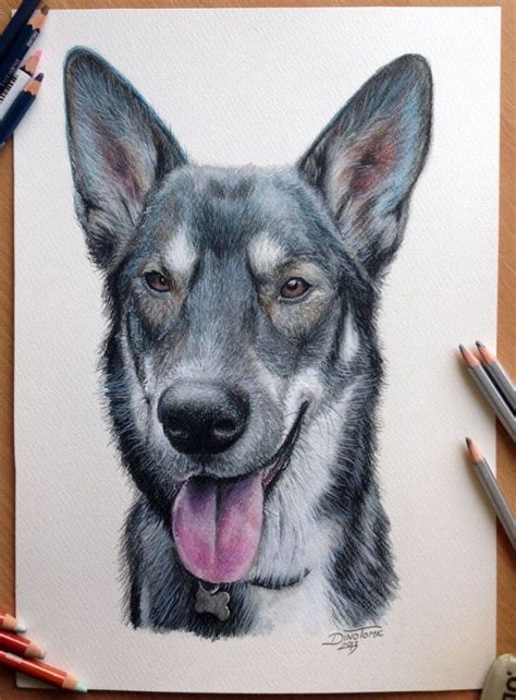animal drawing dog