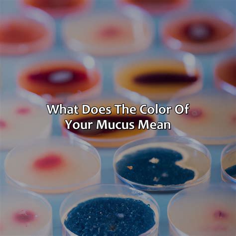 What Does The Color Of Your Mucus Mean - colorscombo.com